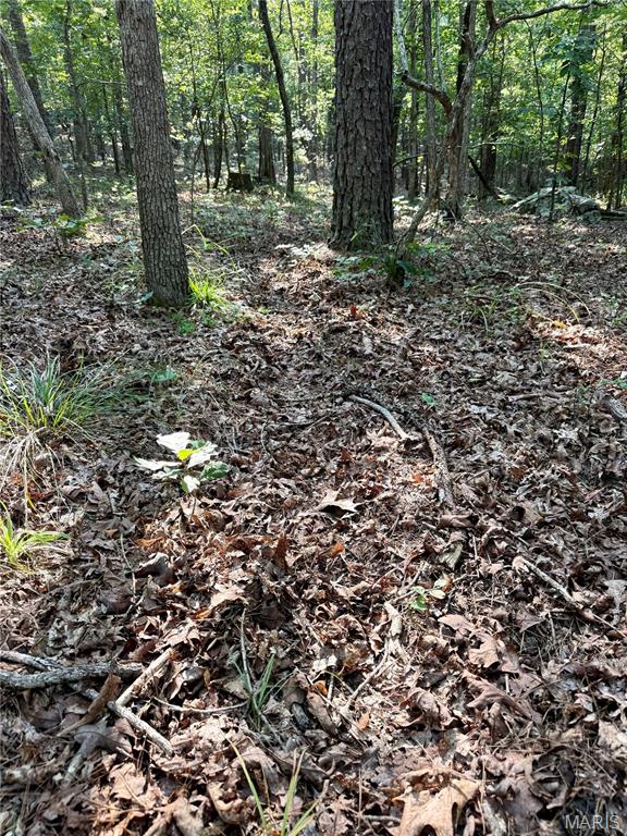 004 Bb Highway Property Photo 34