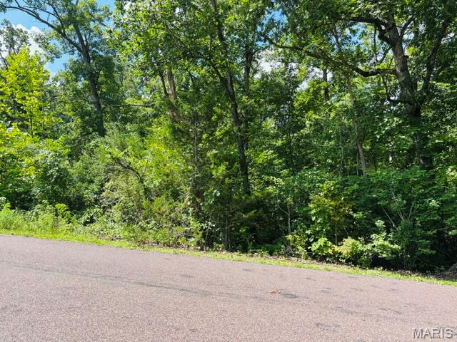 2045 Lakeshore Drive Property Photo 1