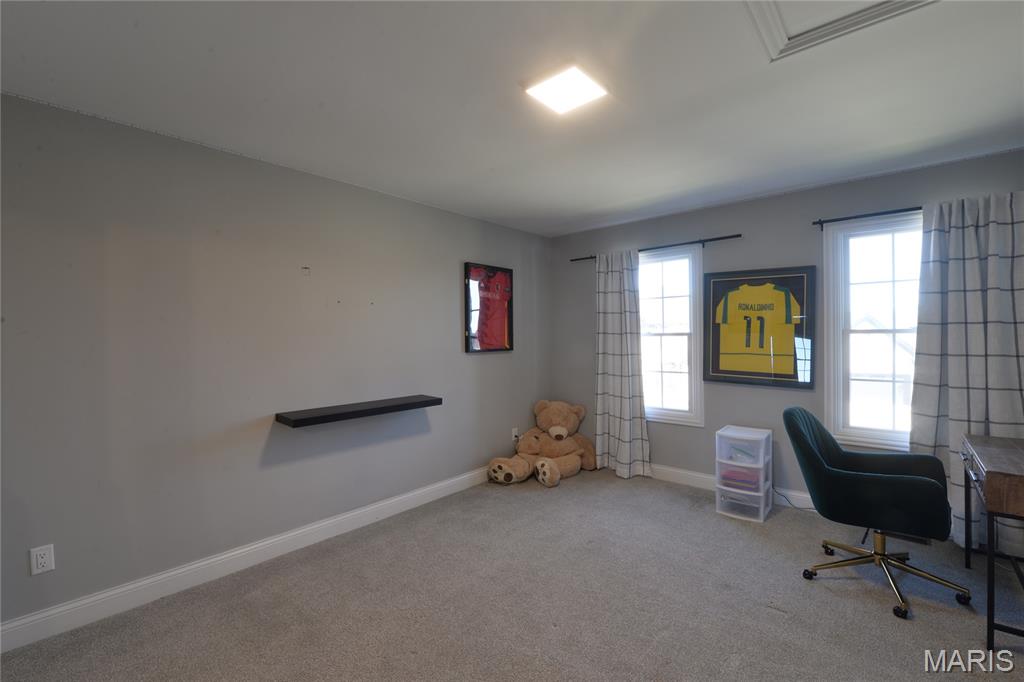 17016 Lakeside Ridge Property Photo 23