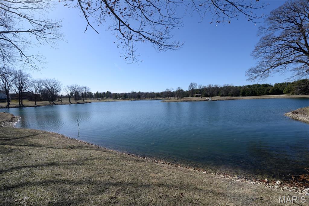 17016 Lakeside Ridge Property Photo 83
