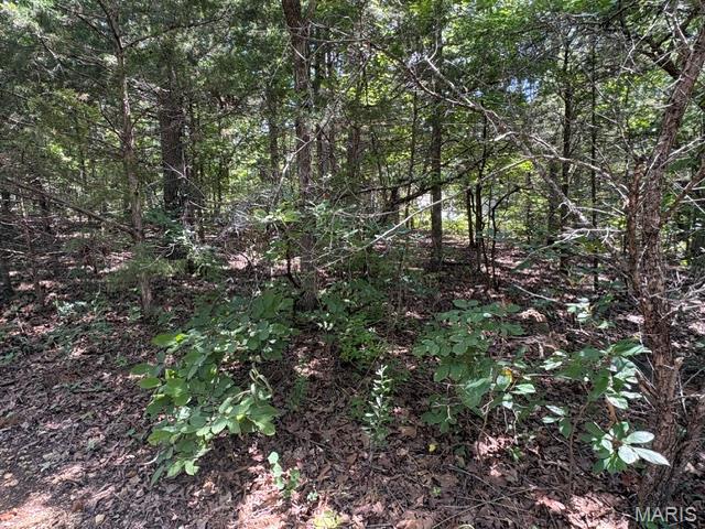 61 Sumter Drive Property Photo 2