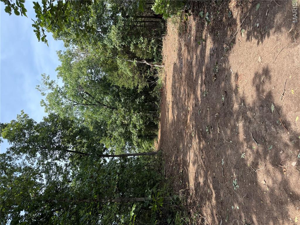 0 E State Highway E Property Photo 6