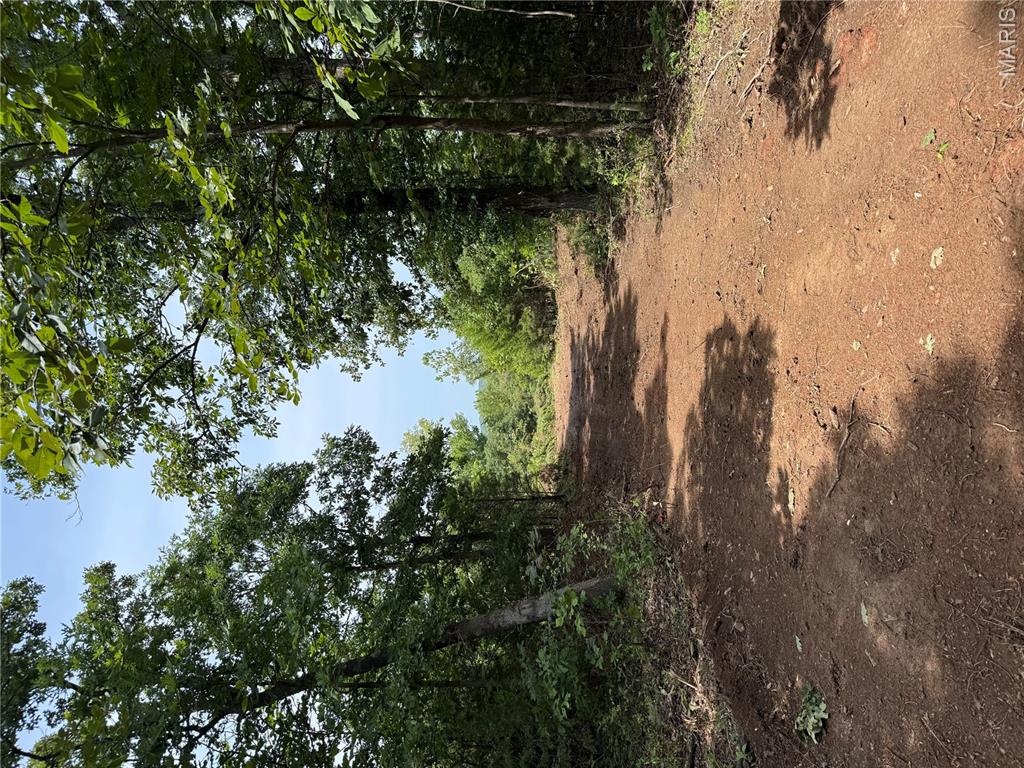 0 E State Highway E Property Photo 7