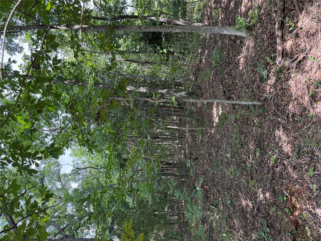 0 E State Highway E Property Photo 8