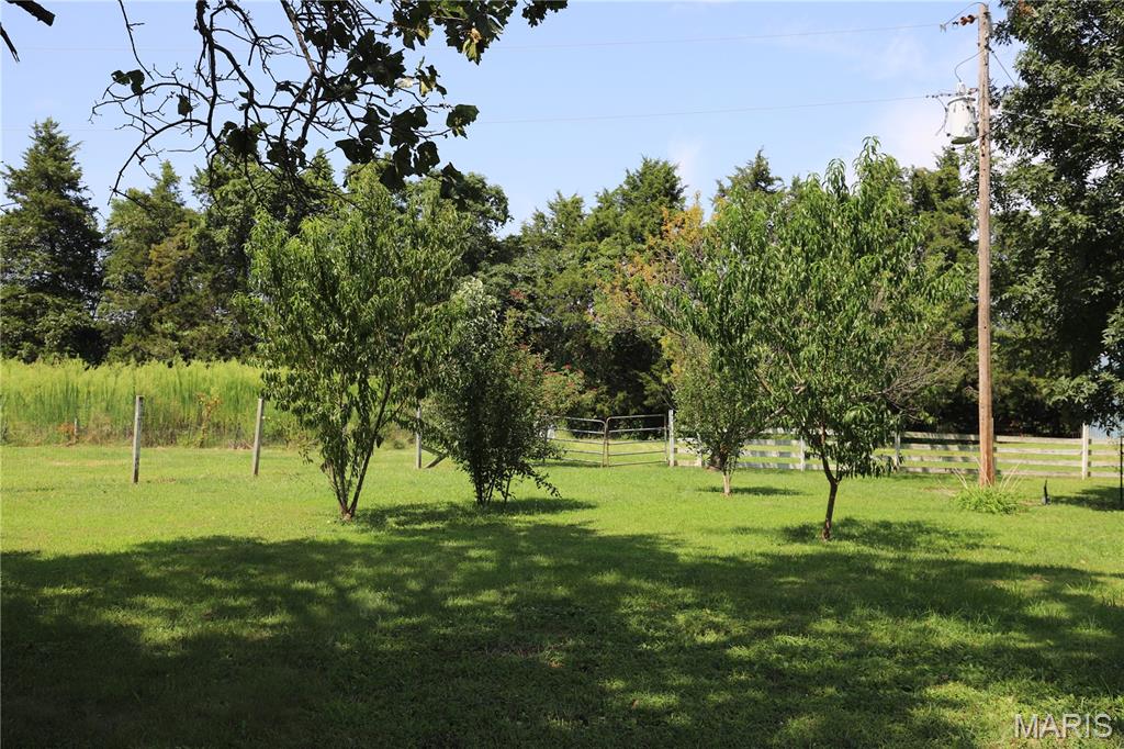 11697 John Emling Road Property Photo 31