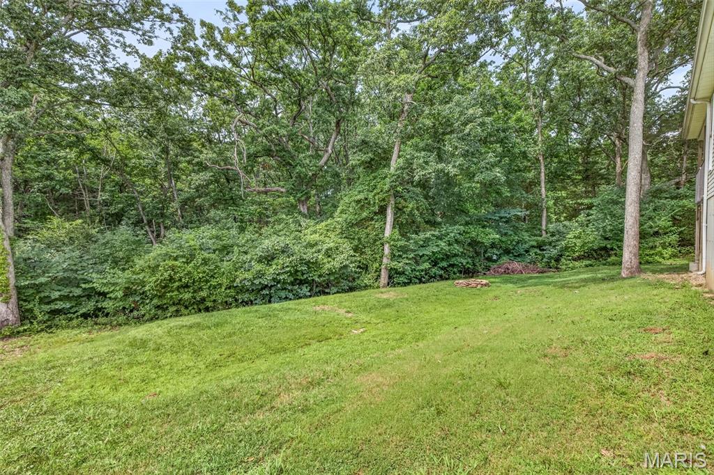 10299 Micah Lane Property Photo 7