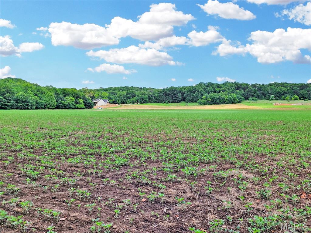 225 Valley View (lot 29) Drive Property Photo 2