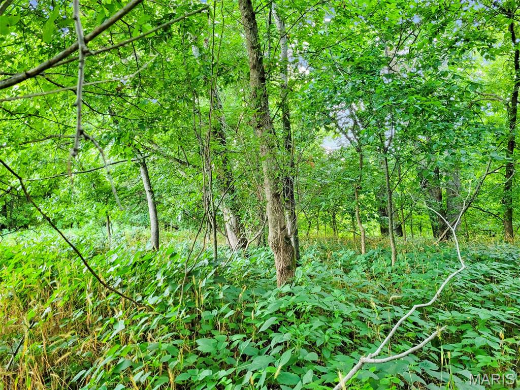 225 Valley View (lot 29) Drive Property Photo 6