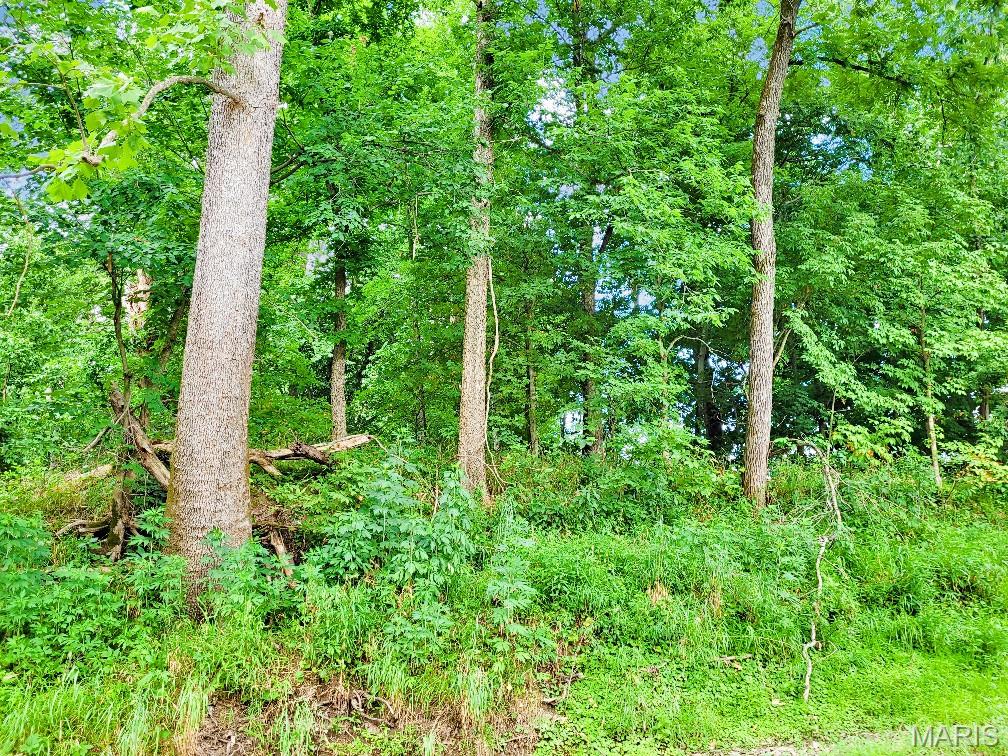 225 Valley View (lot 29) Drive Property Photo 12