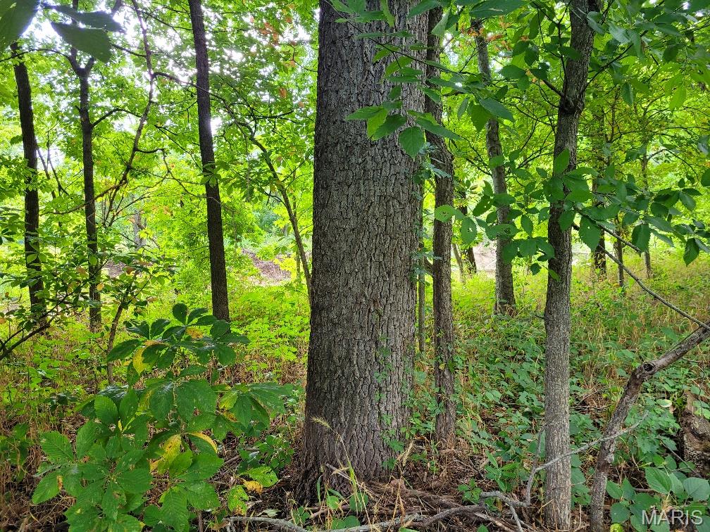 225 Valley View (lot 29) Drive Property Photo 18