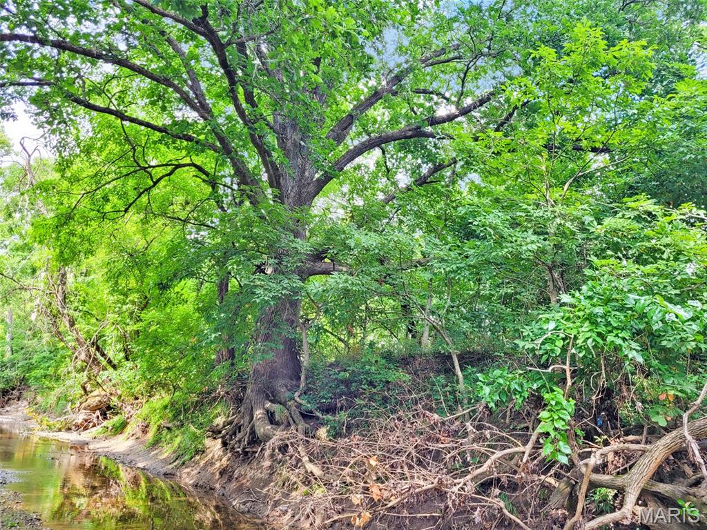 225 Valley View (lot 29) Drive Property Photo 21