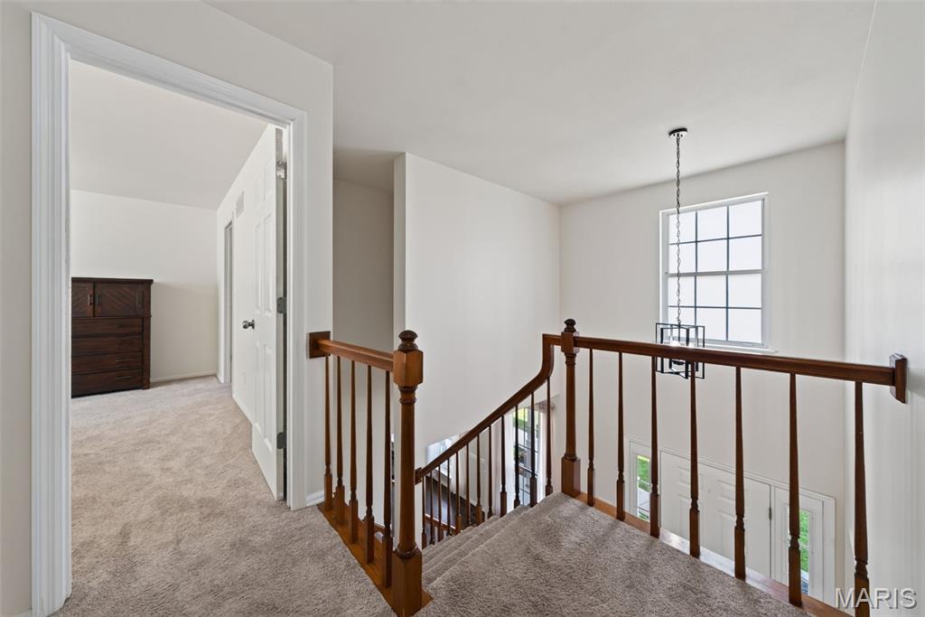 217 Country Hollow Court Property Photo 34
