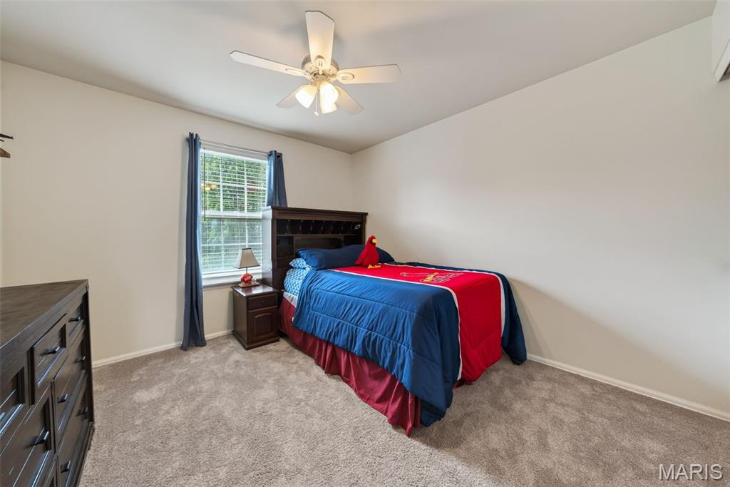 217 Country Hollow Court Property Photo 49