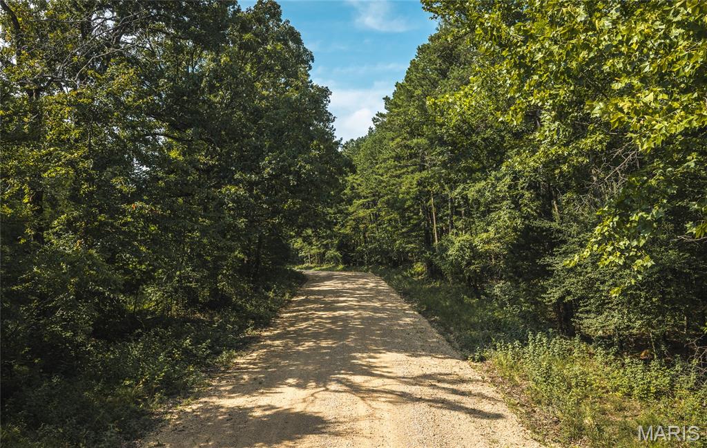 000 County Road 503 Property Photo 11