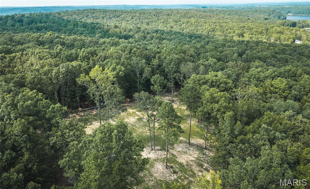 000 County Road 503 Property Photo 12