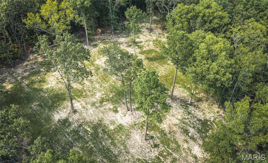 000 County Road 503 Property Photo 13
