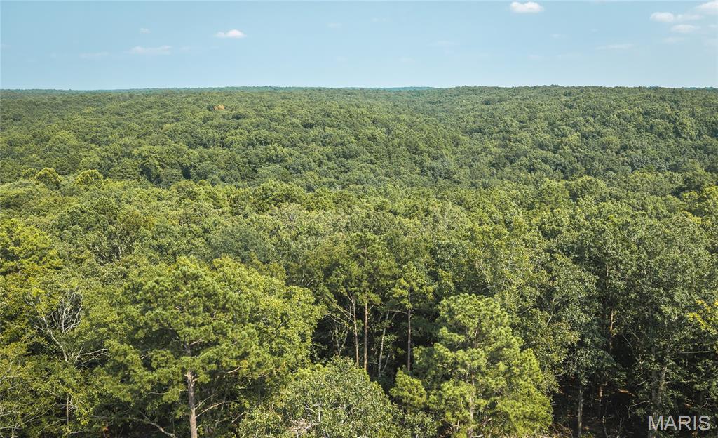 000 County Road 503 Property Photo 17