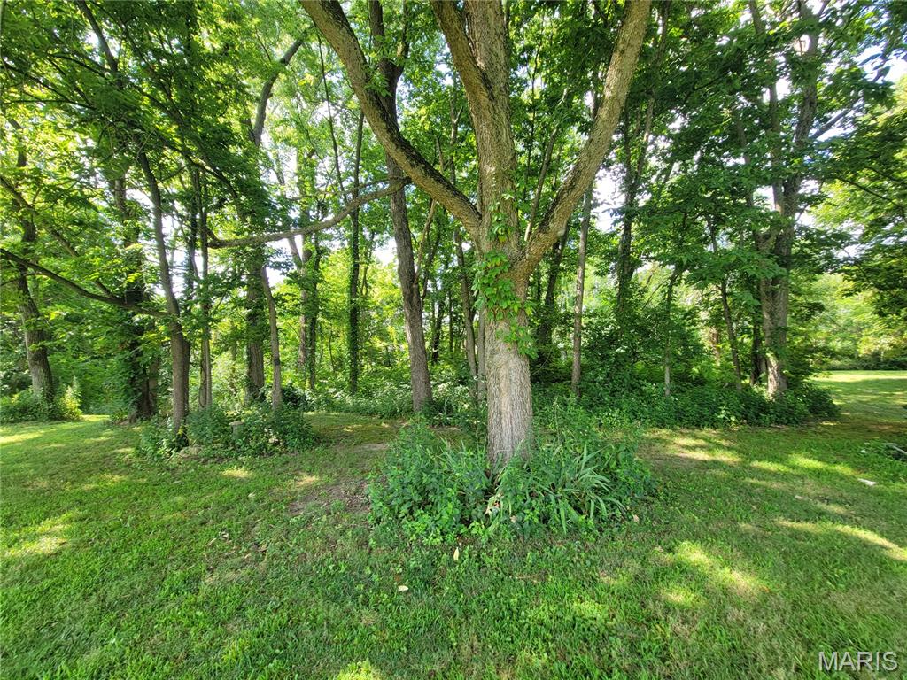 39 Scarlet Oak Court Property Photo 44