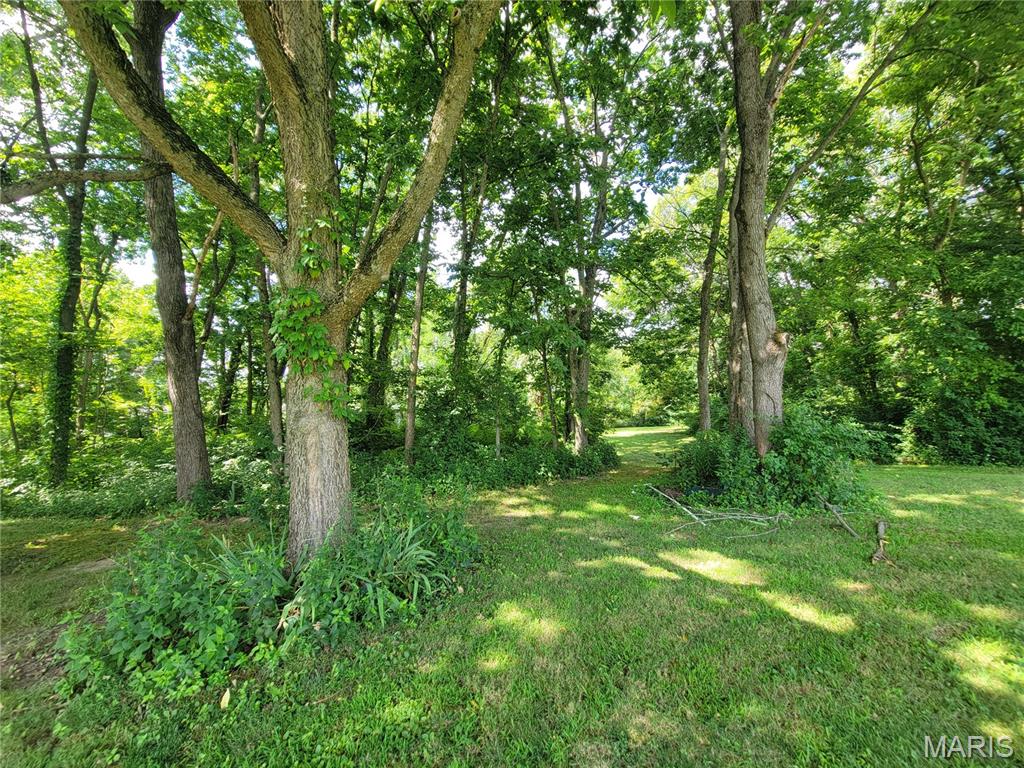 39 Scarlet Oak Court Property Photo 45