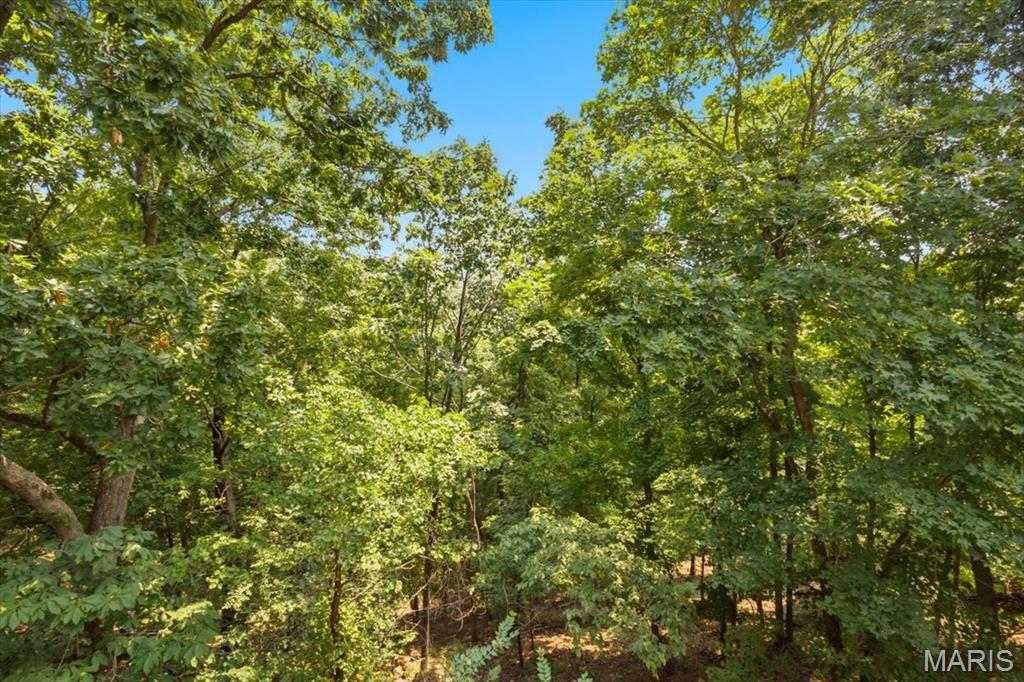 688 Meramec View Drive Property Photo 59