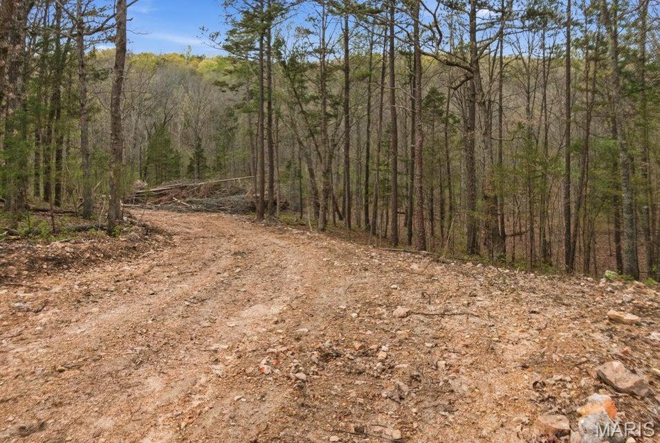 Tract 5 W Highway 32 Property Photo 1