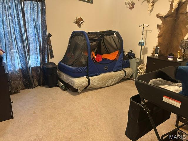 27 Silver Spur Drive Property Photo 8