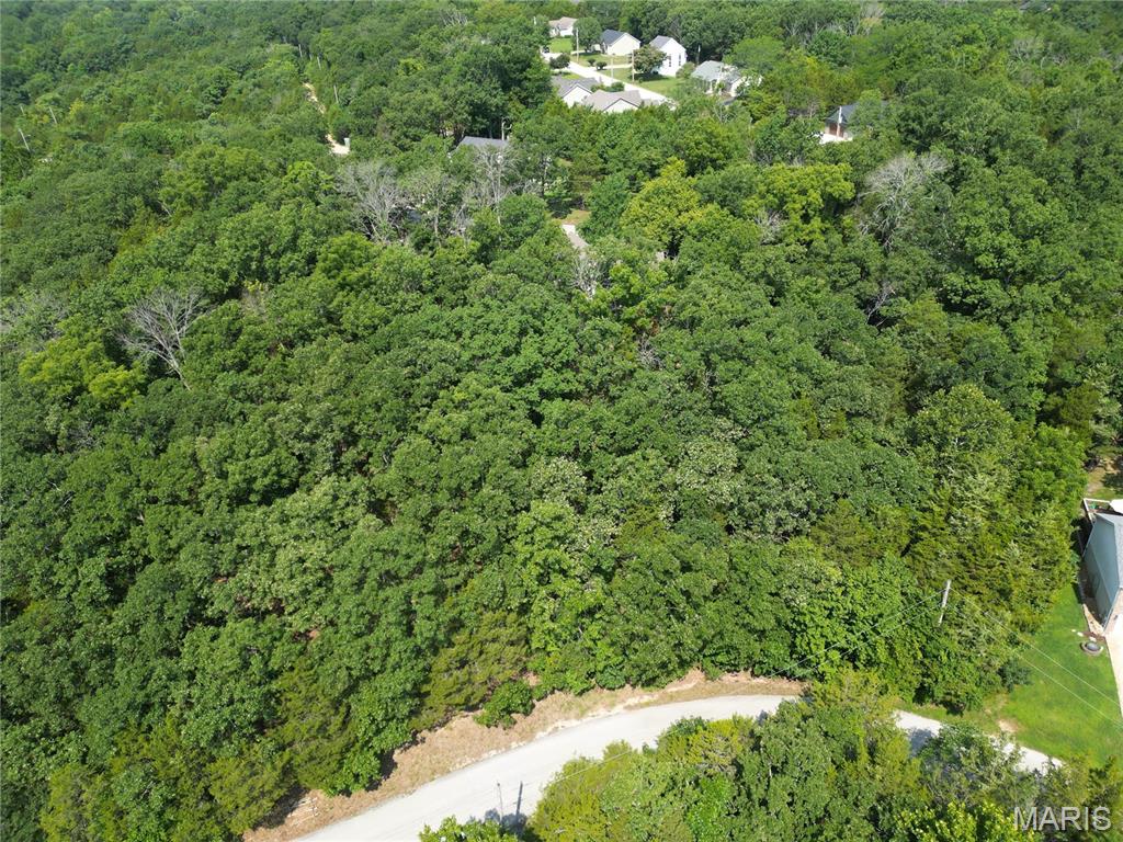 10133 Lake Ridge Drive Property Photo 1