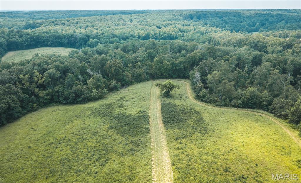 175 County Road 513 Property Photo 19