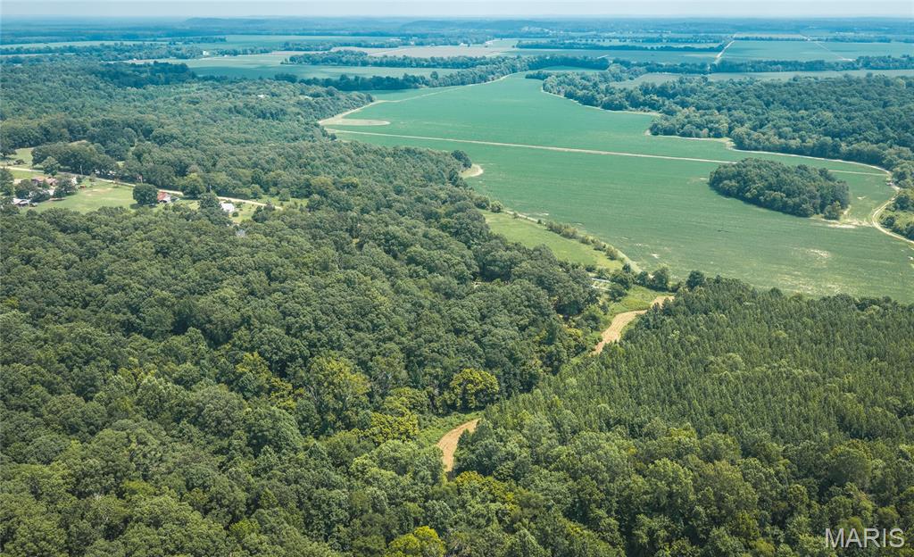 175 County Road 513 Property Photo 25