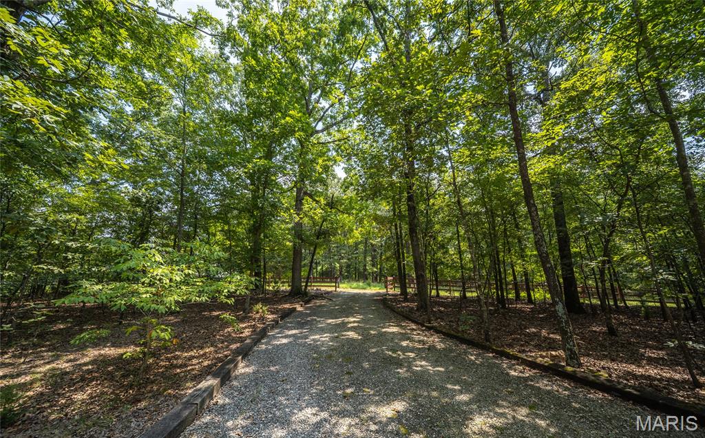 175 County Road 513 Property Photo 55