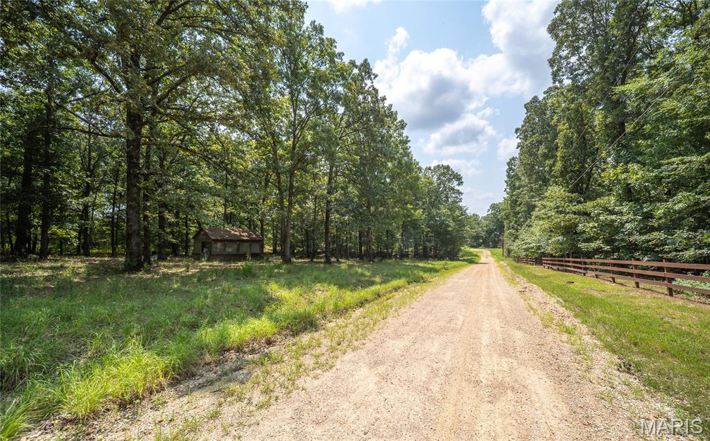 175 County Road 513 Property Photo 57