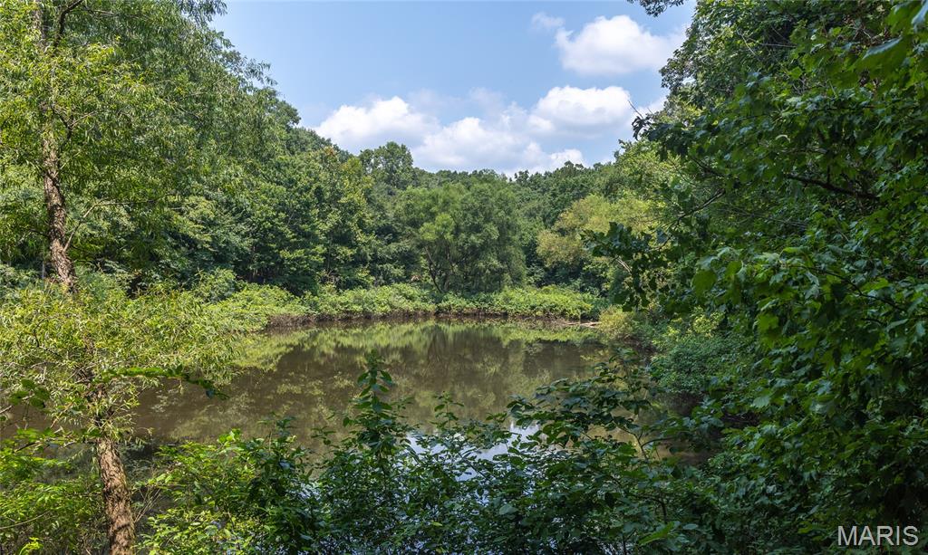 175 County Road 513 Property Photo 63