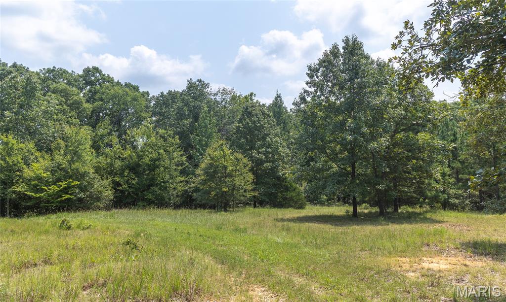175 County Road 513 Property Photo 64