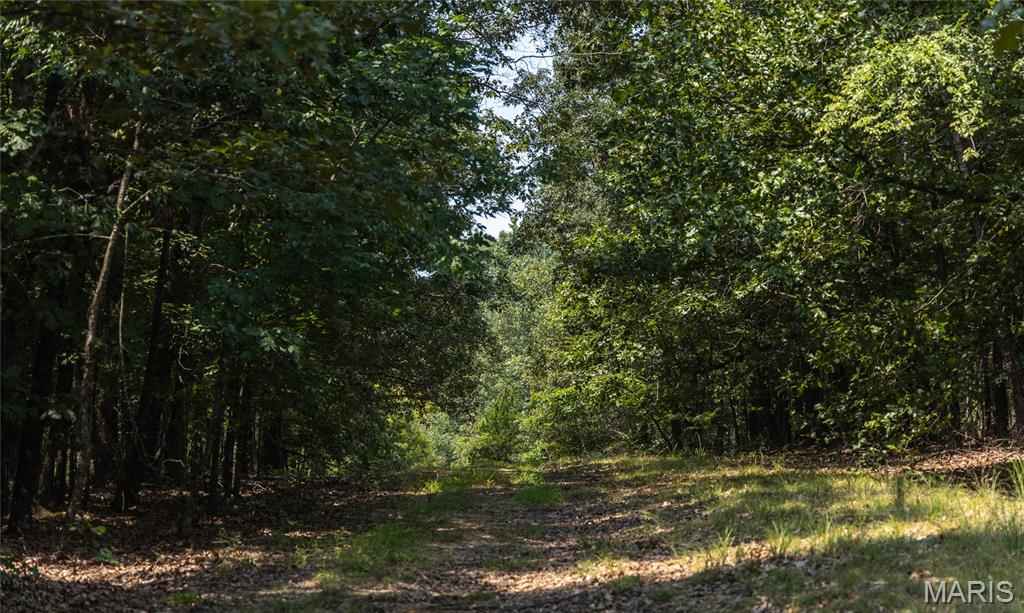 175 County Road 513 Property Photo 65