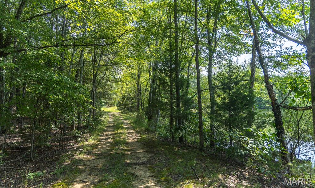 175 County Road 513 Property Photo 68