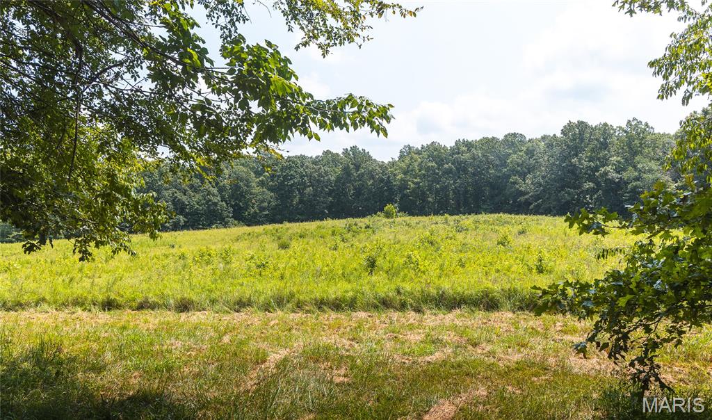 175 County Road 513 Property Photo 78