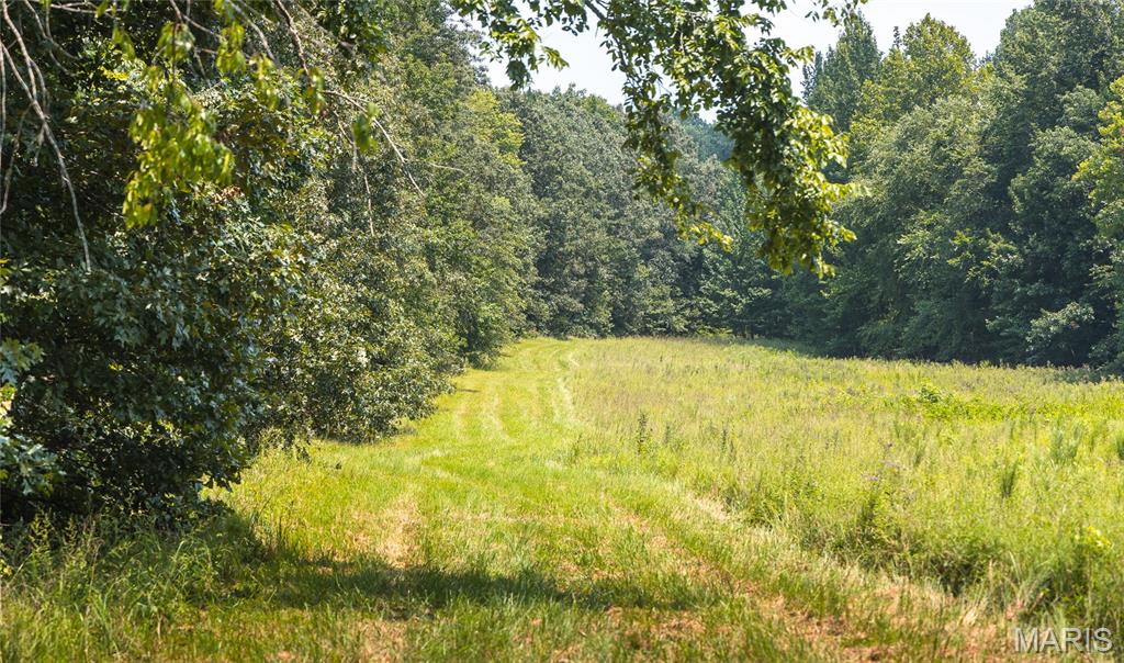 175 County Road 513 Property Photo 79