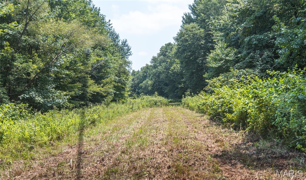 175 County Road 513 Property Photo 81