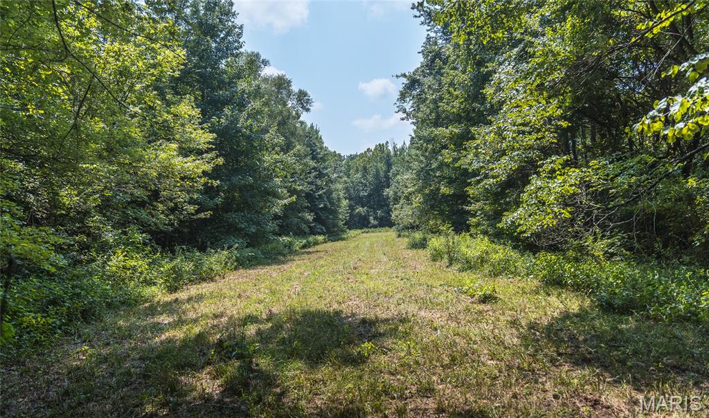 175 County Road 513 Property Photo 82