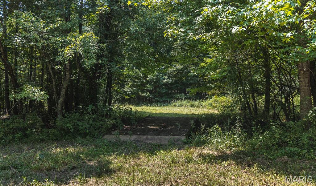 175 County Road 513 Property Photo 83
