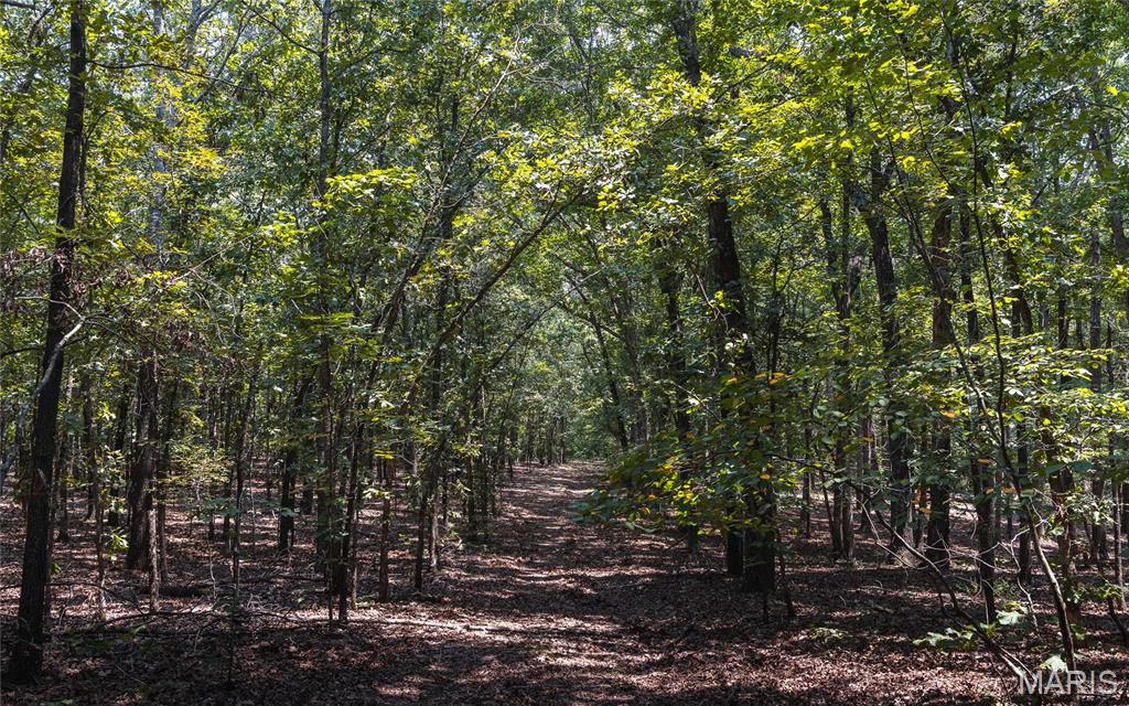 175 County Road 513 Property Photo 87