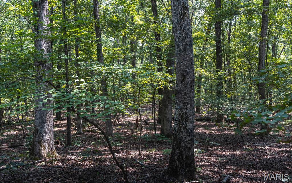 175 County Road 513 Property Photo 88