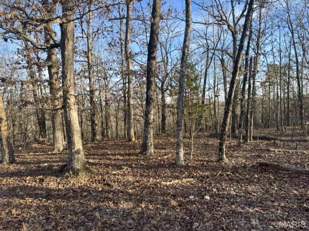 Tbd Sargent Road Property Photo 1