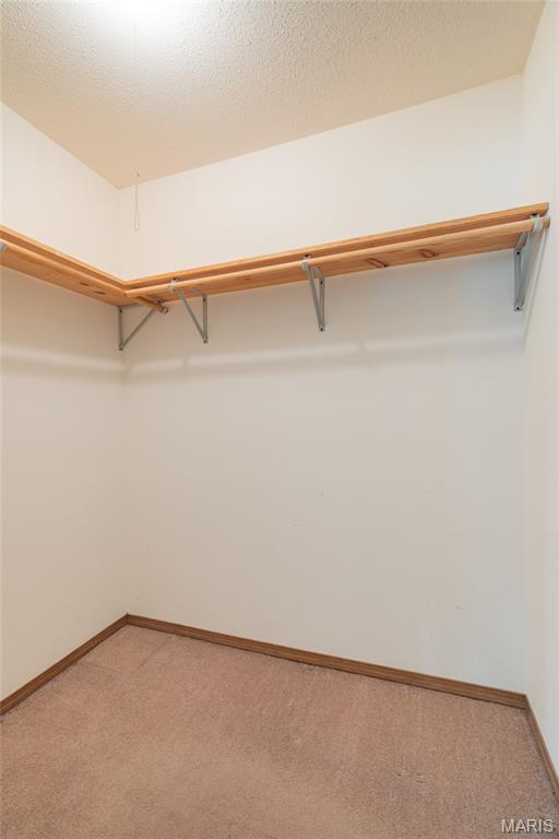 11 Glenmoor Court Property Photo 22