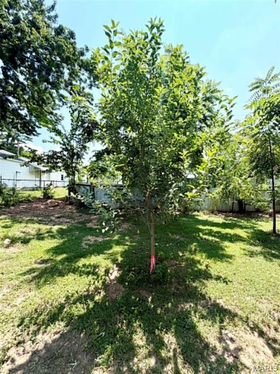 501 Washington Street Property Photo 18