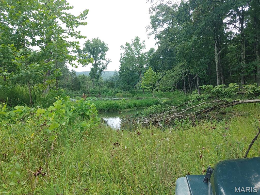 2139 County Road 101 Property Photo 5