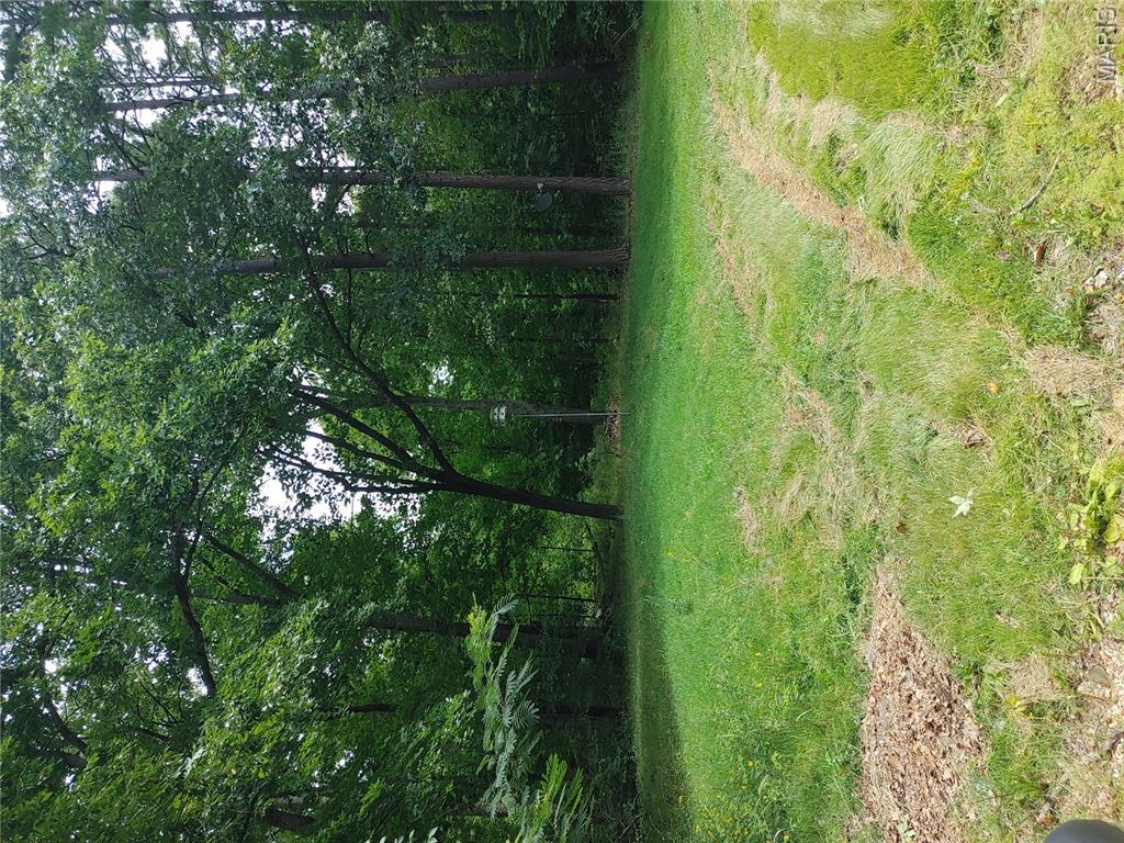 2139 County Road 101 Property Photo 24