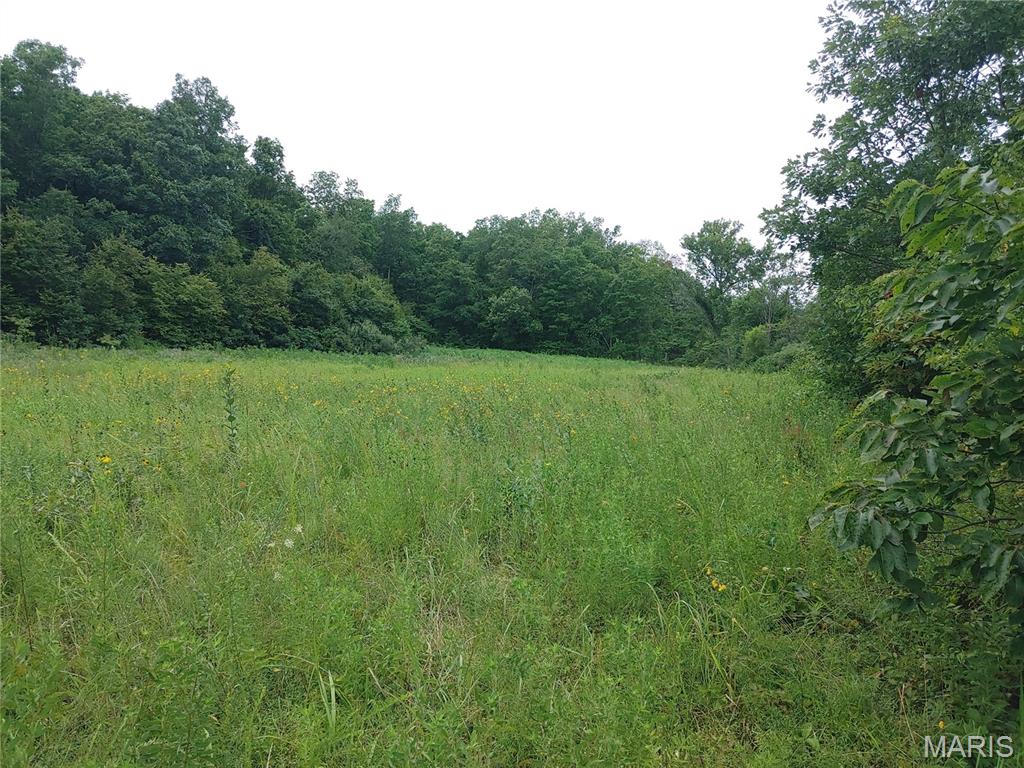 2139 County Road 101 Property Photo 30