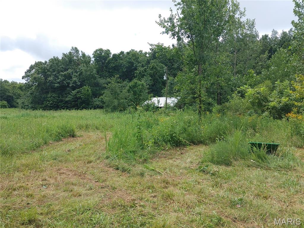 2139 County Road 101 Property Photo 32