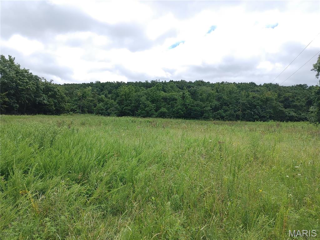 2139 County Road 101 Property Photo 33